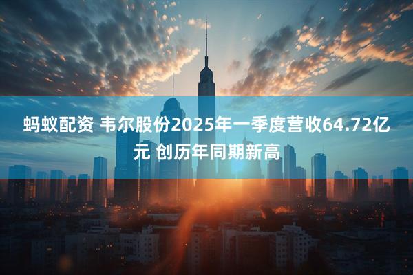 蚂蚁配资 韦尔股份2025年一季度营收64.72亿元 创历年同期新高